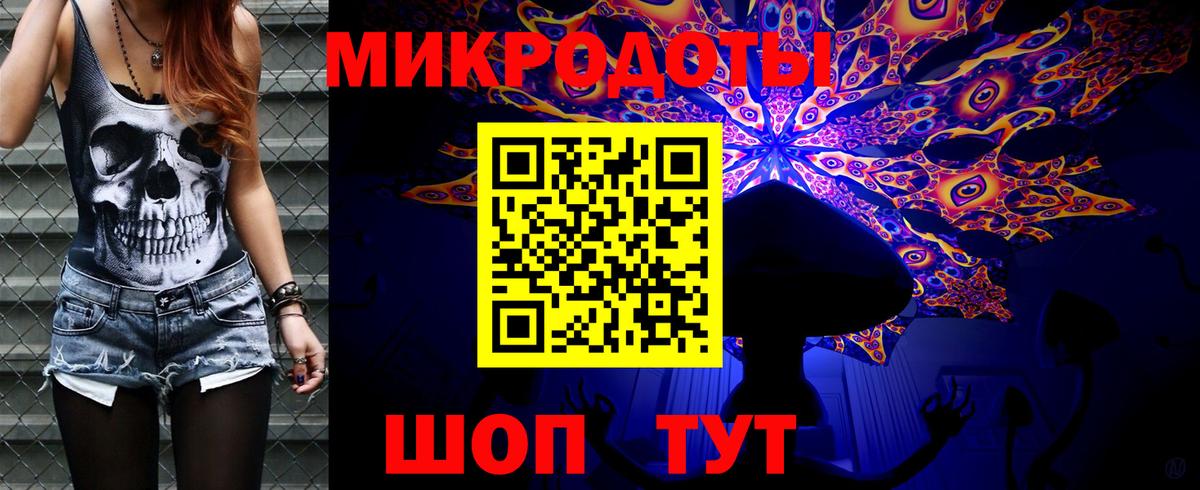 Галлюциногенные грибы Cubensis Пушкино