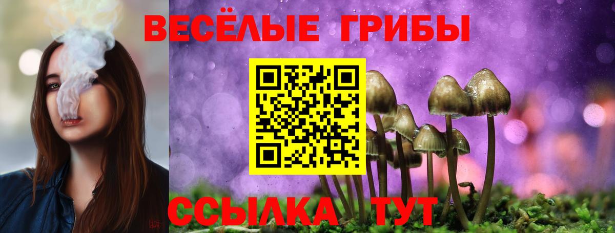 Пушкино  Галлюциногенные грибы Magic Shrooms  Вход с VPN 